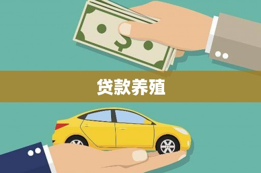 新店贷款养殖
