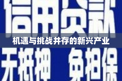 新店机遇与挑战并存的新兴产业