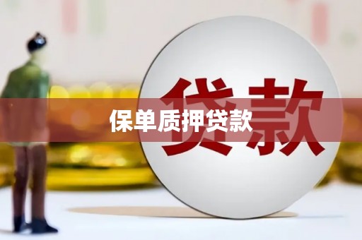 新店保单质押贷款