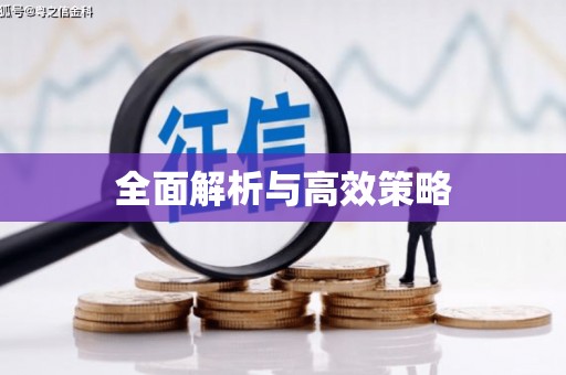 新店全面解析与高效策略