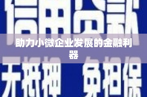 新店助力小微企业发展的金融利器
