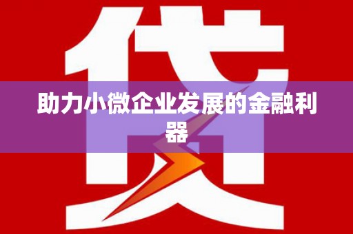新店助力小微企业发展的金融利器