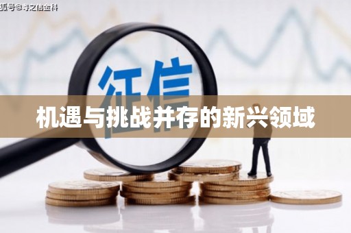 新店机遇与挑战并存的新兴领域