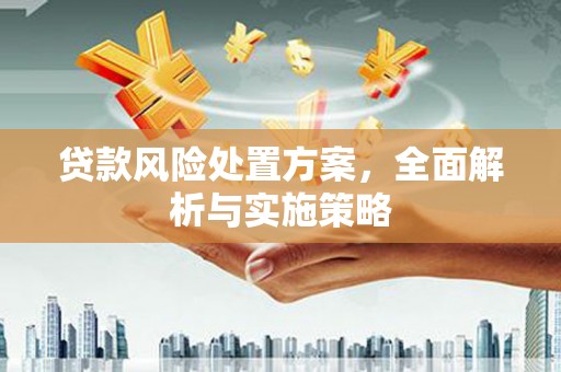 新店贷款风险处置方案，全面解析与实施策略