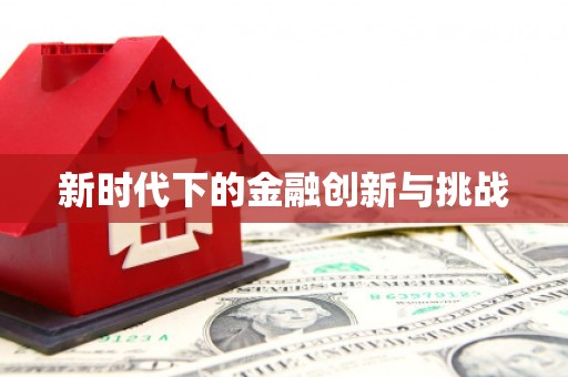 新店新时代下的金融创新与挑战