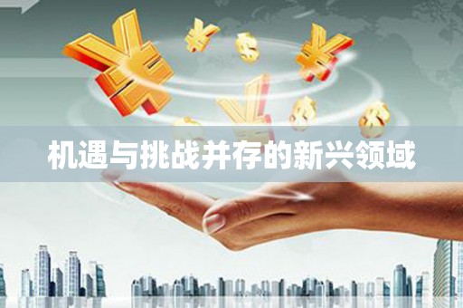 新店机遇与挑战并存的新兴领域