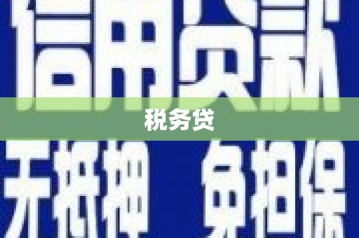 新店税务贷