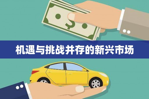新店机遇与挑战并存的新兴市场