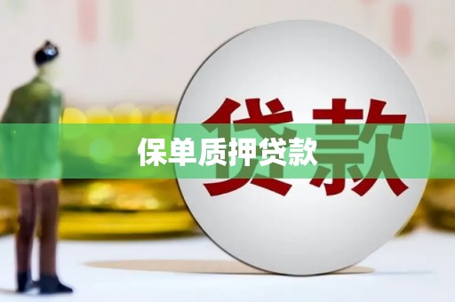 新店保单质押贷款