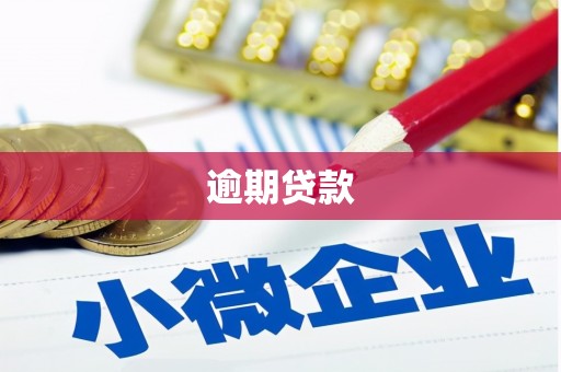 新店逾期贷款