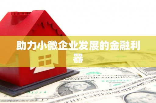 新店助力小微企业发展的金融利器
