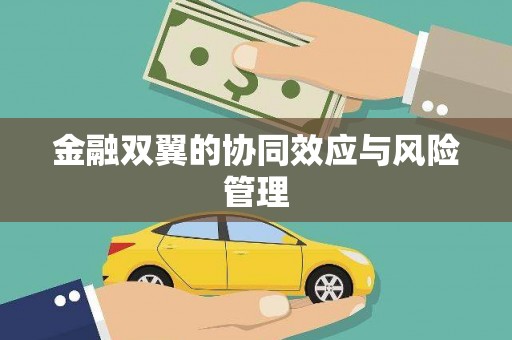 新店金融双翼的协同效应与风险管理