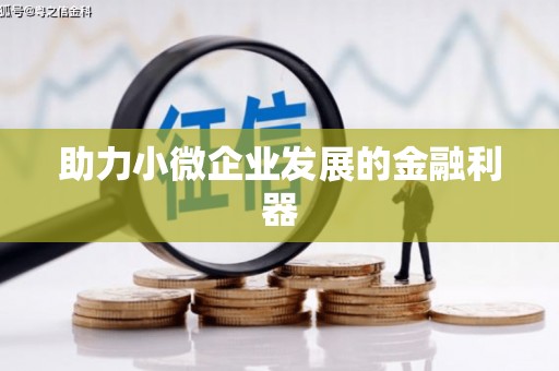 新店助力小微企业发展的金融利器