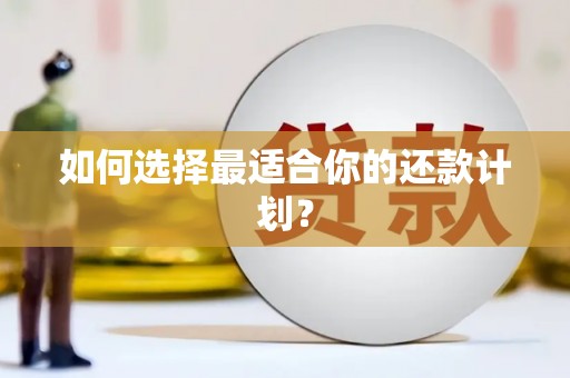 新店如何选择最适合你的还款计划？