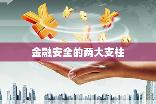 新店金融安全的两大支柱
