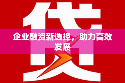 新店企业融资新选择，助力高效发展
