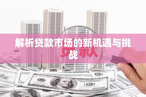 新店解析贷款市场的新机遇与挑战