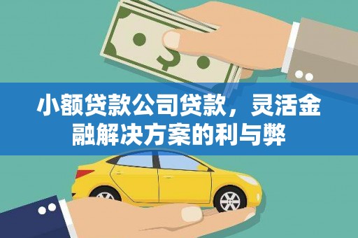 新店小额贷款公司贷款，灵活金融解决方案的利与弊