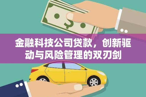 新店金融科技公司贷款，创新驱动与风险管理的双刃剑
