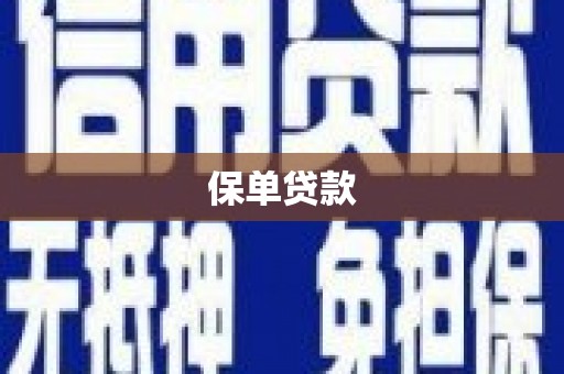 新店保单贷款